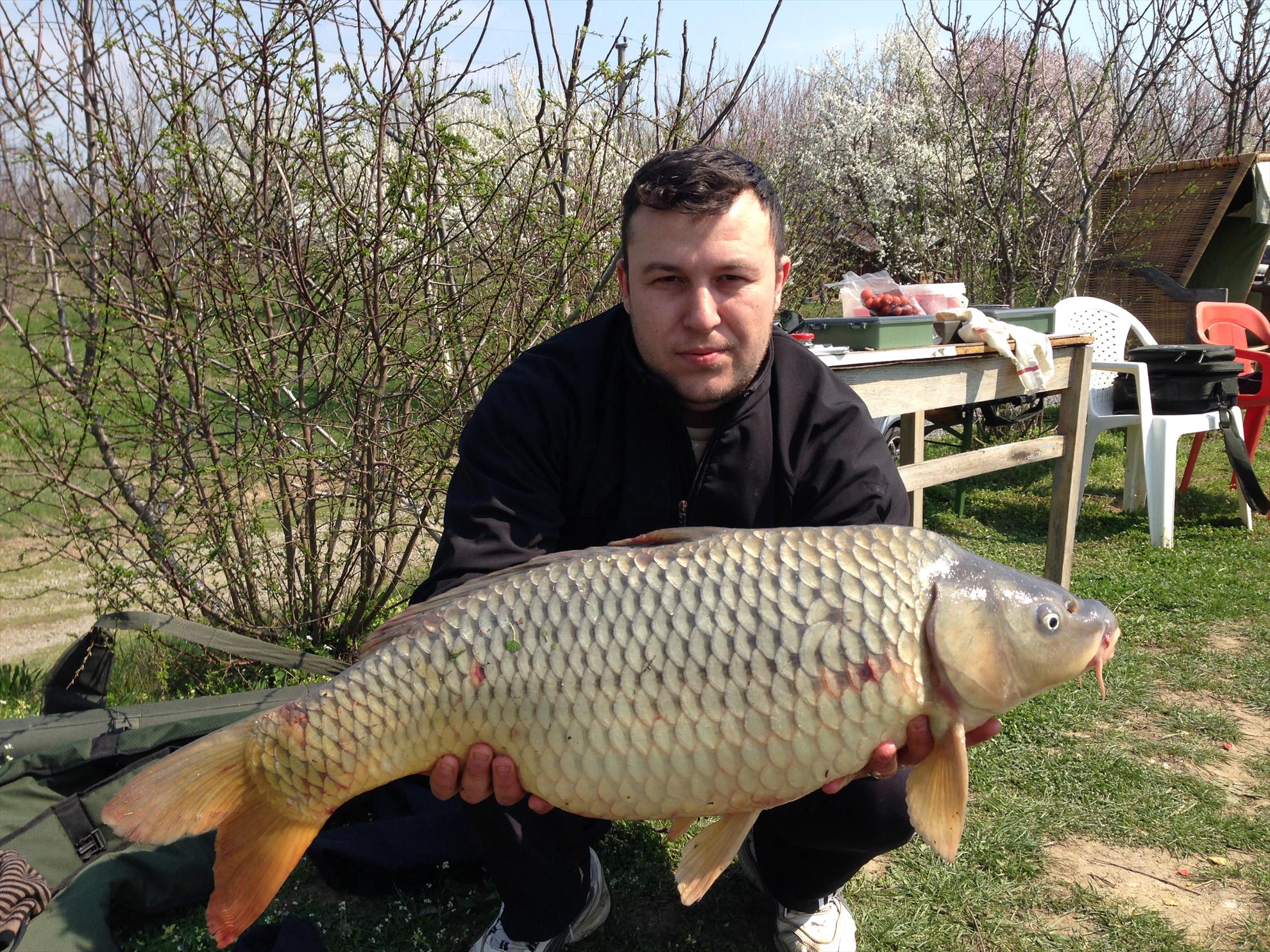 balta oltenitei - img0310.JPG